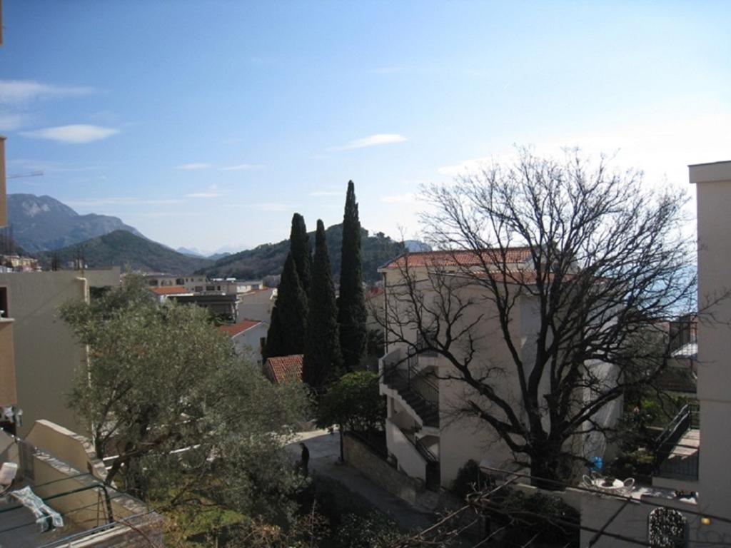 Apartment Stana Petrovac Exteriör bild